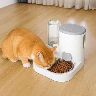 Distributeur de croquettes pour chat | Automatique - Chicetchat