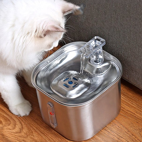 FONTAINE A EAU CHAT | FéliSource