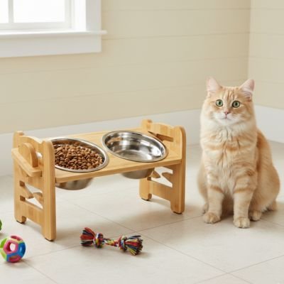 Gamelle Chat surélevée | Bol Harmonie - Chicetchat