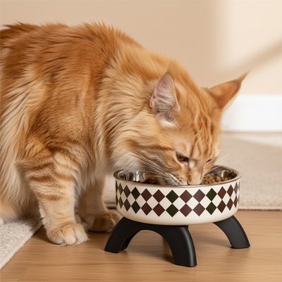 Chat-roux-mange-dans-gamelle-chat-surelevé 