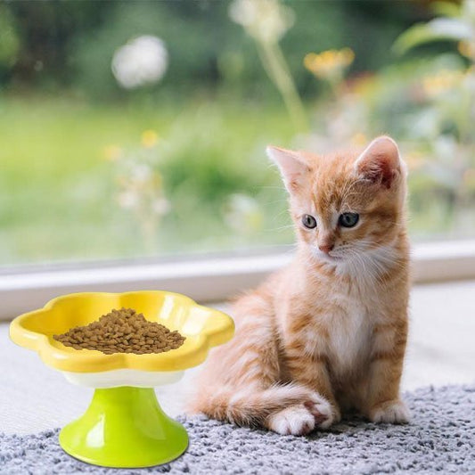 Chat-roux-regarde-gamelle-chat-surelevé-couleur-jaune-blanc-vert-pistache 