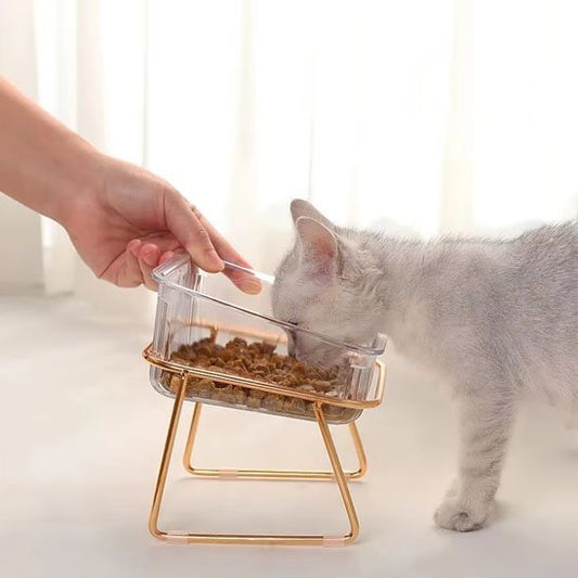 Chaton-blanc-mange-dans-gamelle-chat-chic-transpartante-doré 