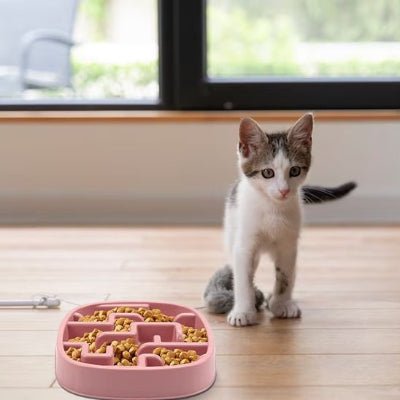 Gamelle anti glouton chat | BienManger - Chicetchat