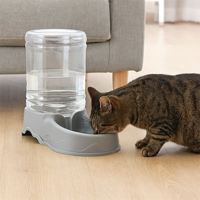 Distributeur de croquettes pour Chat | Intelligent - Chicetchat