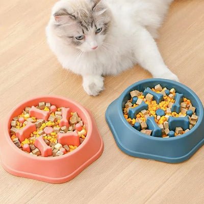 Gamelle anti glouton chat | SlowEat - Chicetchat