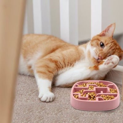 Gamelle anti glouton chat | BienManger - Chicetchat