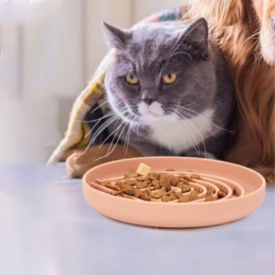 Gamelle anti glouton chat | PetWell - Chicetchat