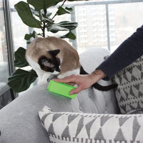 Brosse anti poil | IrisFur - Chicetchat