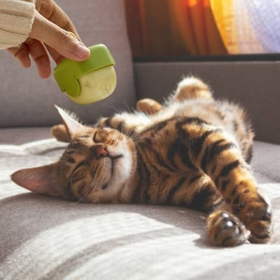 Brosse anti poil | Lisséa - Monminouchat