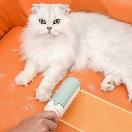 Brosse anti poil | Nuvia - Chicetchat