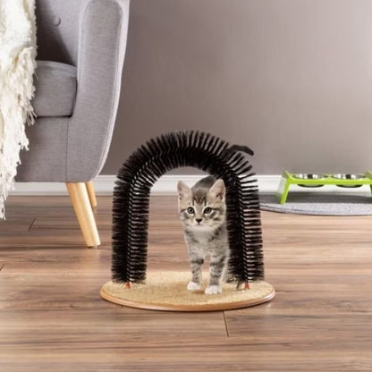 Brosse Chat | Petoria - Chicetchat
