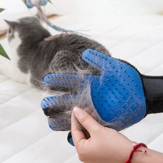Brosse chat | DoucePatte - Chicetchat