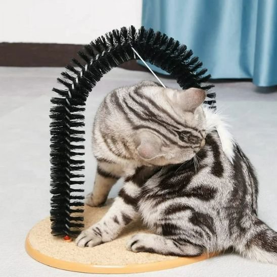 Brosse Chat | Petoria - Chicetchat