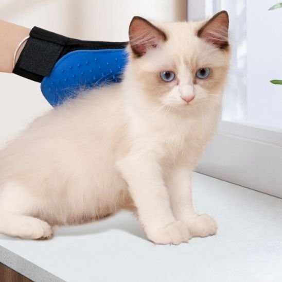 Brosse chat | DoucePatte - Chicetchat