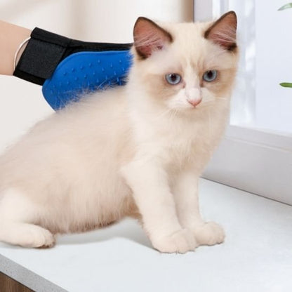 Brosse chat | DoucePatte - Chicetchat