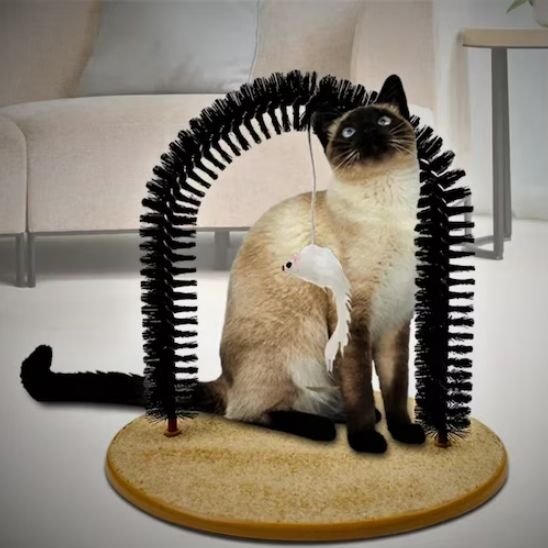 Brosse Chat | Petoria - Chicetchat