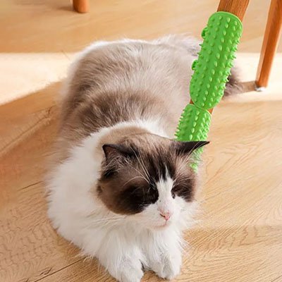 Brosse chat | UltraShed - Monminouchat