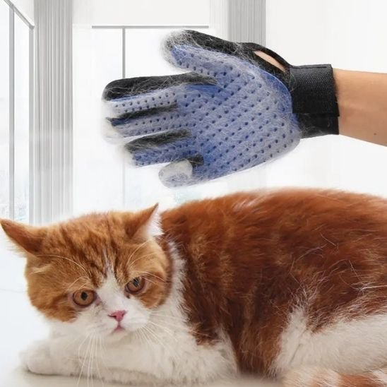 Brosse chat | DoucePatte - Chicetchat