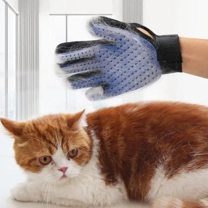 Brosse chat | DoucePatte - Chicetchat