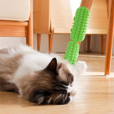 Brosse chat | UltraShed - Monminouchat