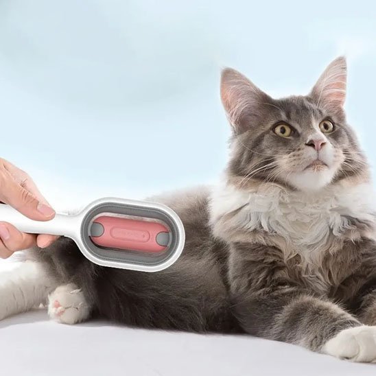 Brosse chat | DéPoil'Pro - Chicetchat