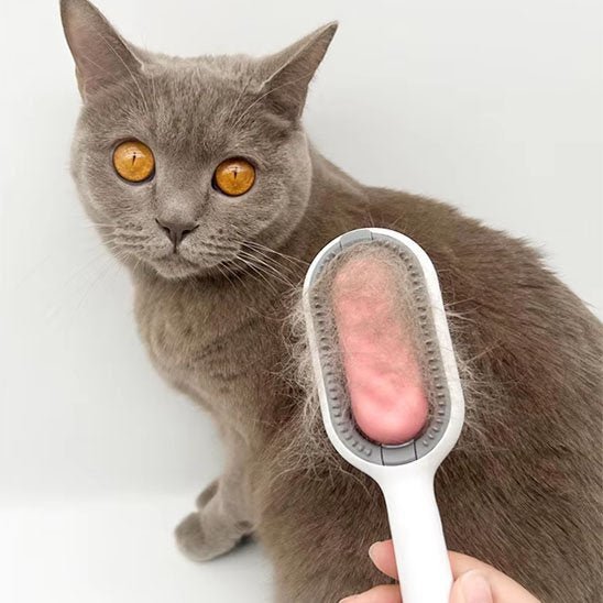 Brosse chat | DéPoil'Pro - Chicetchat
