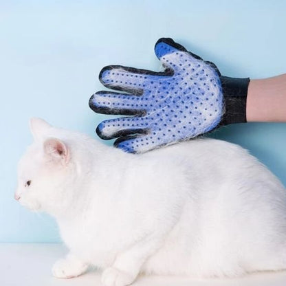 Brosse chat | DoucePatte - Chicetchat
