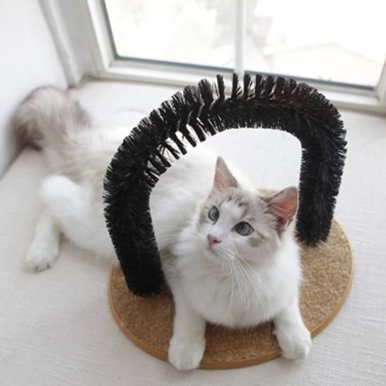 Brosse Chat | Petoria - Chicetchat