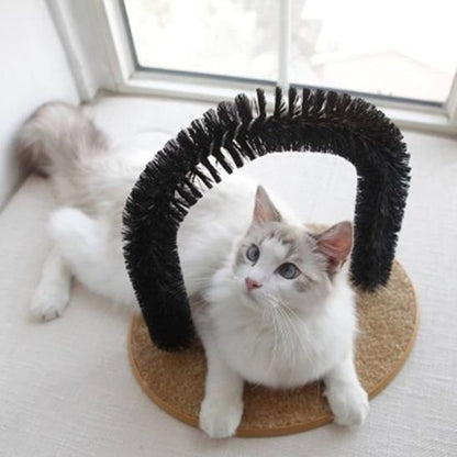 Brosse Chat | Petoria - Chicetchat