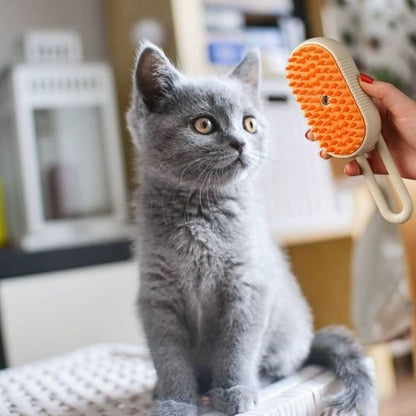 Brosse chat | Lifur - Chicetchat