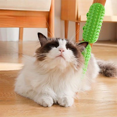 Brosse chat | UltraShed - Monminouchat
