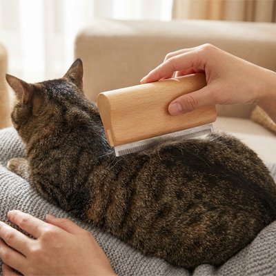 Brosse poil chat | DouceFélins - Chicetchat