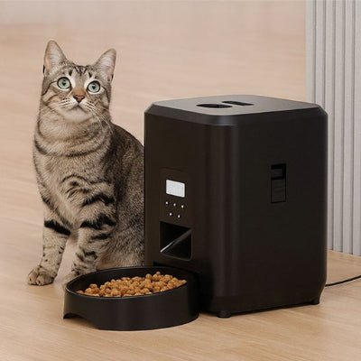 Distributeur de croquettes pour chat | Automatique - Chicetchat