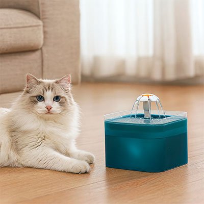Fontaine à eau Chat | FlowFresh - Chicetchat