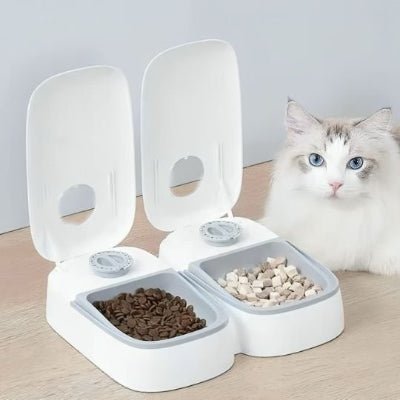 Distributeur automatique de croquettes pour chat | Programmable - Chicetchat