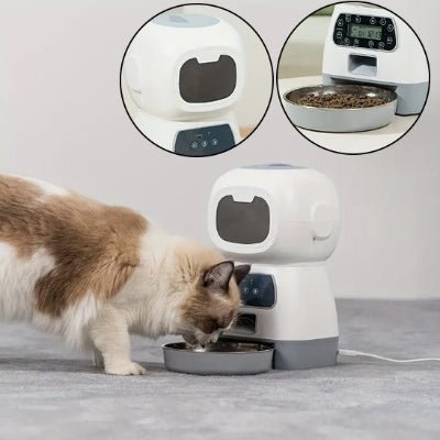 Distributeur croquette chat automatique | SmartFeed - Chicetchat