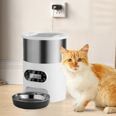 Distributeur automatique croquettes chat | FélinTime - Chicetchat