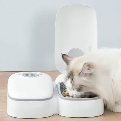 Distributeur automatique de croquettes pour chat | Programmable - Chicetchat