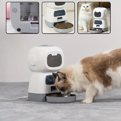Distributeur croquette chat automatique | SmartFeed - Chicetchat
