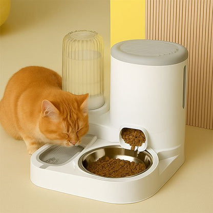 Distributeur de croquettes pour chat | Automatique - Chicetchat