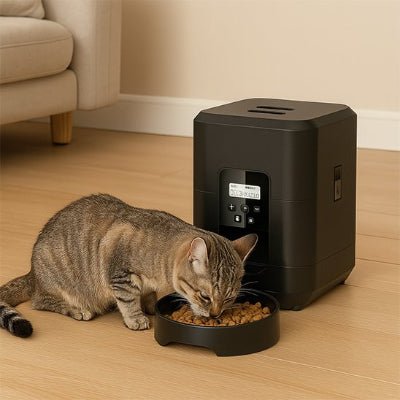 Distributeur de croquettes pour chat | Automatique - Chicetchat