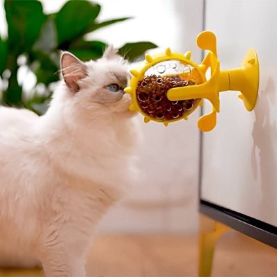 Distributeur de croquettes pour chat | Programmable - Chicetchat