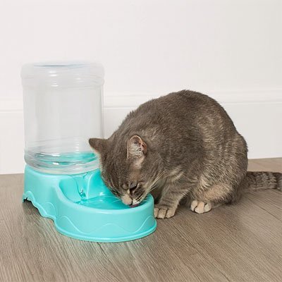 Distributeur de croquettes pour Chat | Intelligent - Chicetchat