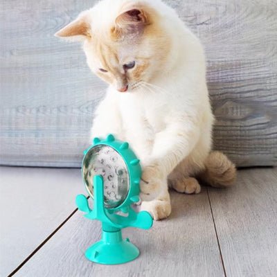 Distributeur de croquettes pour chat | Programmable - Chicetchat