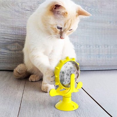 Distributeur de croquettes pour chat | Programmable - Chicetchat