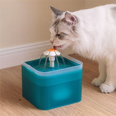 Fontaine à eau Chat | FlowFresh - Chicetchat