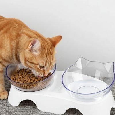 Gamelle pour Chat | Catélys - Chicetchat