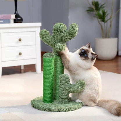Griffoir chat | Cactus avec tronc en sisal rugueux - Monminouchat