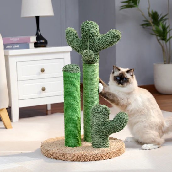 Griffoir chat | Cactus avec tronc en sisal rugueux - Monminouchat