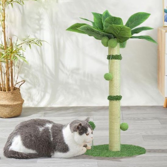 Griffoir chat | Palmier avec tronc en sisal rugueux - Chicetchat